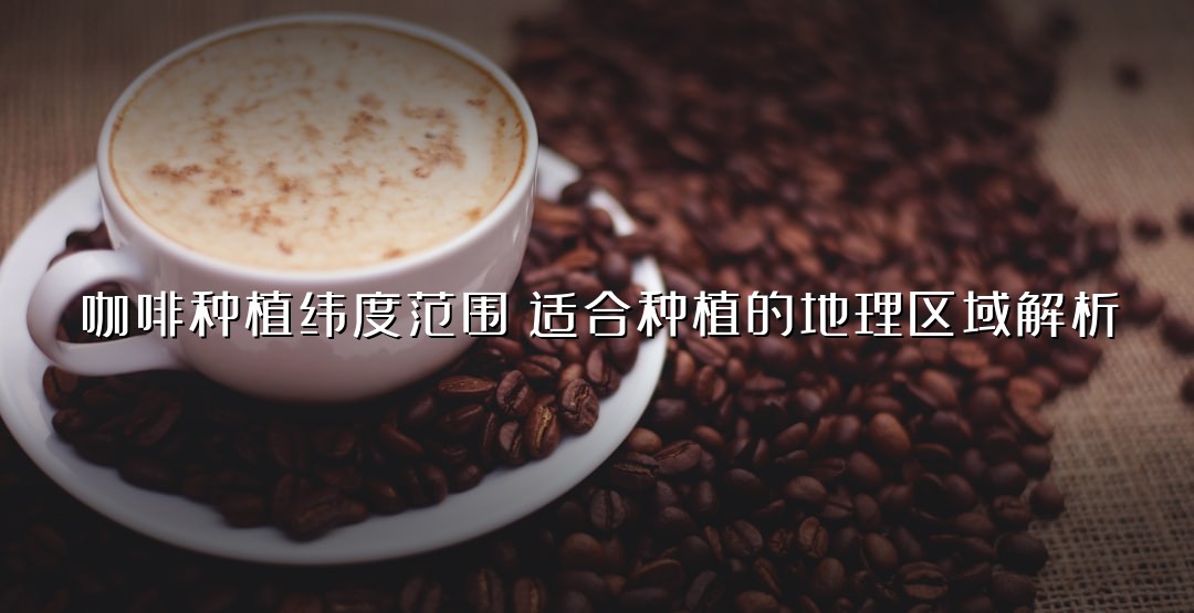 咖啡种植纬度范围：适合种植的地理区域解析
