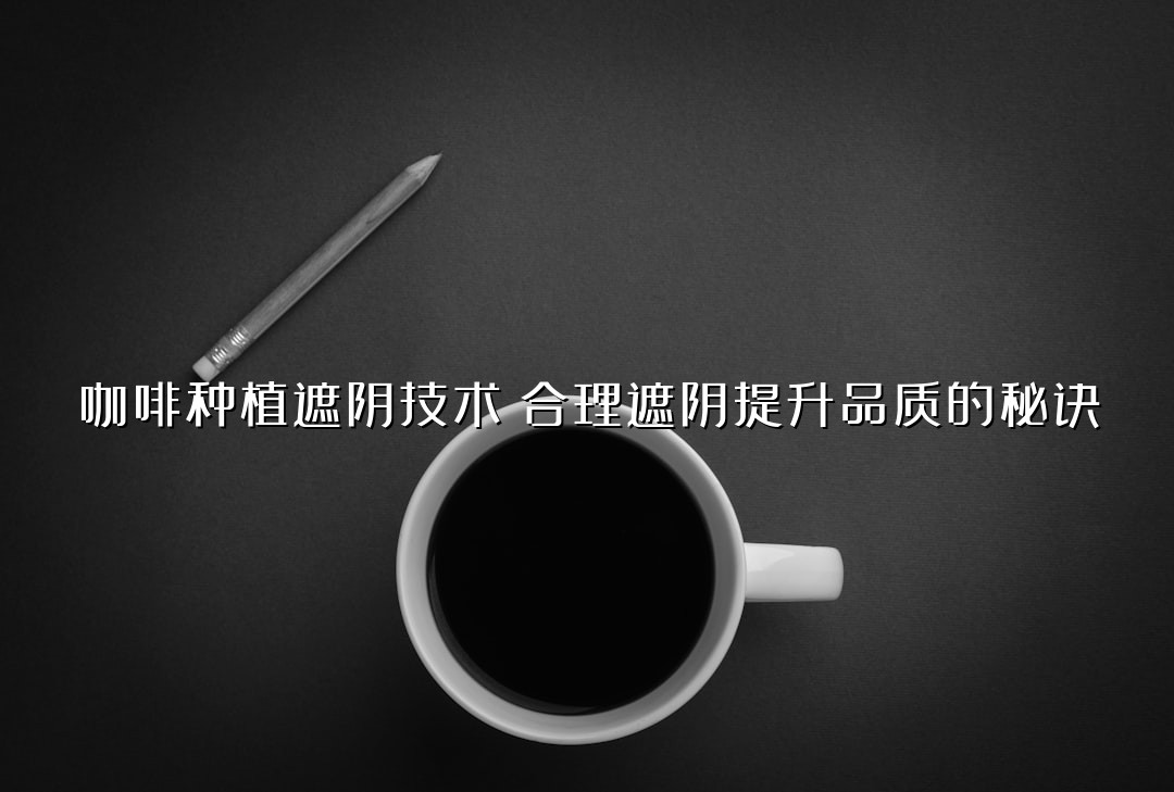 咖啡种植遮阴技术：合理遮阴提升品质的秘诀