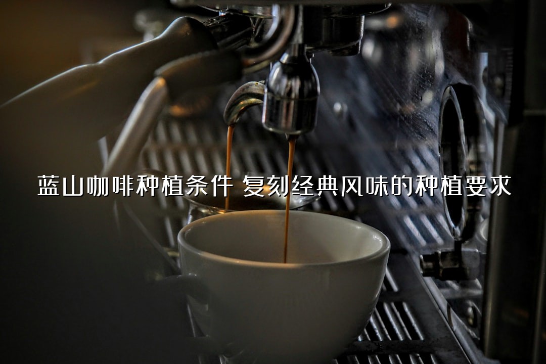 蓝山咖啡种植条件：复刻经典风味的种植要求