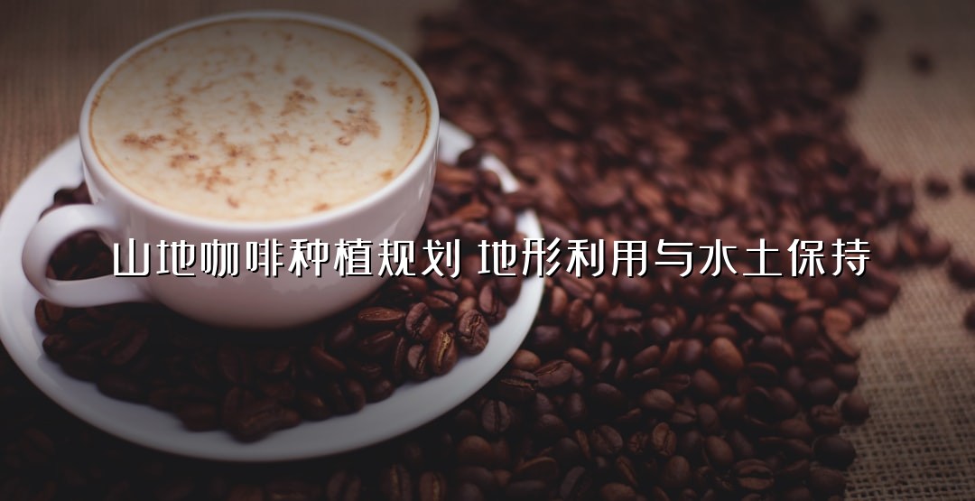 山地咖啡种植规划：地形利用与水土保持