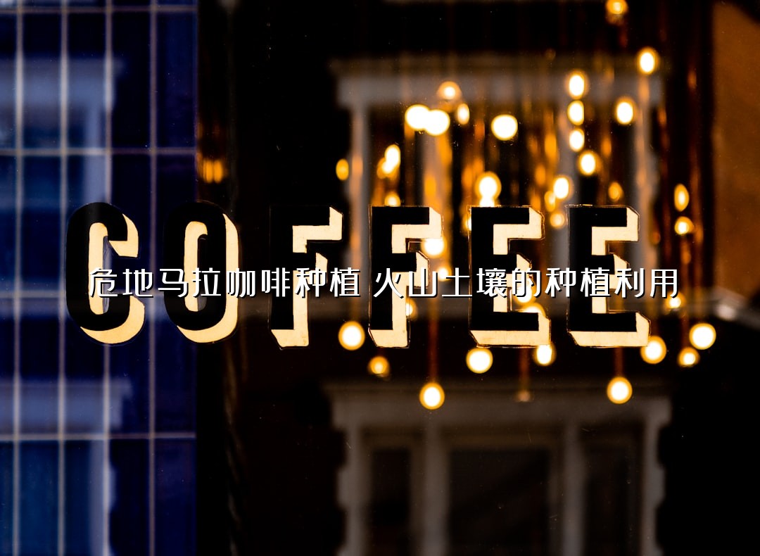危地马拉咖啡种植：火山土壤的种植利用