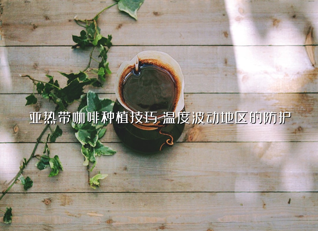 亚热带咖啡种植技巧：温度波动地区的防护