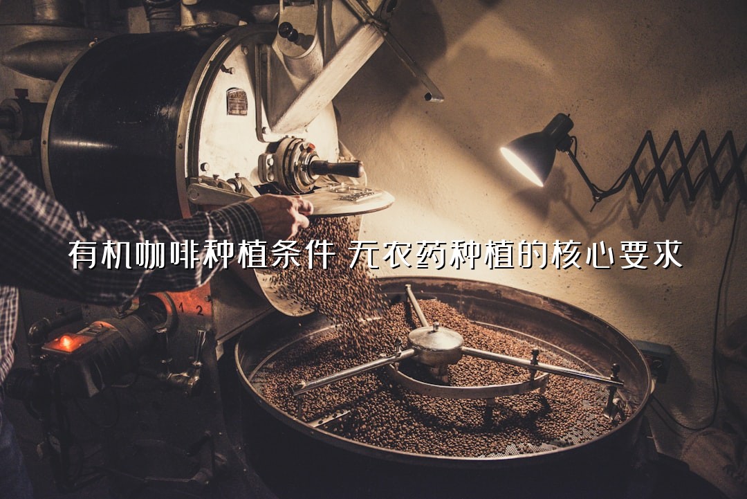 有机咖啡种植条件：无农药种植的核心要求