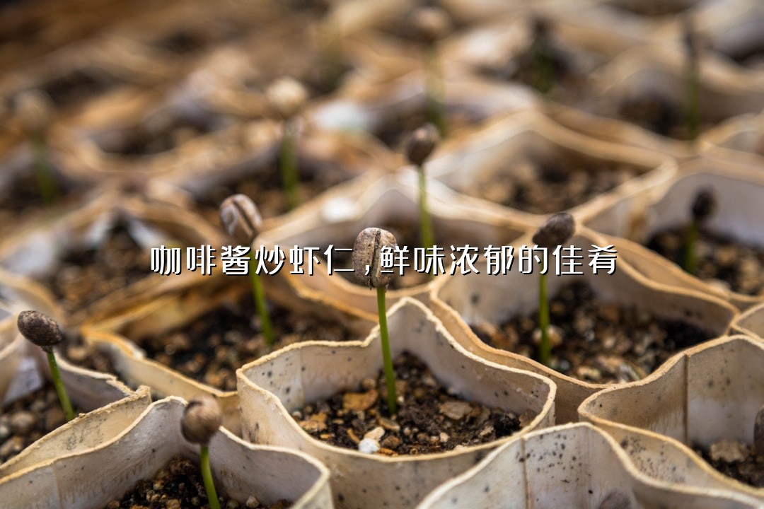 咖啡酱炒虾仁，鲜味浓郁的佳肴