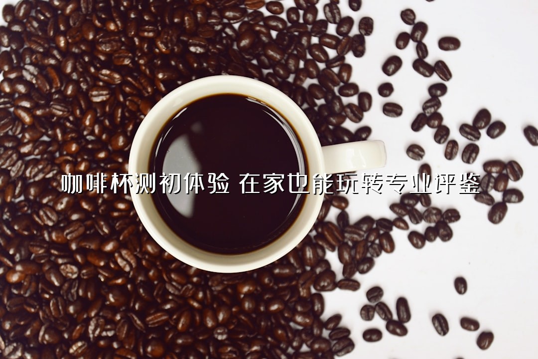 咖啡杯测初体验：在家也能玩转专业评鉴