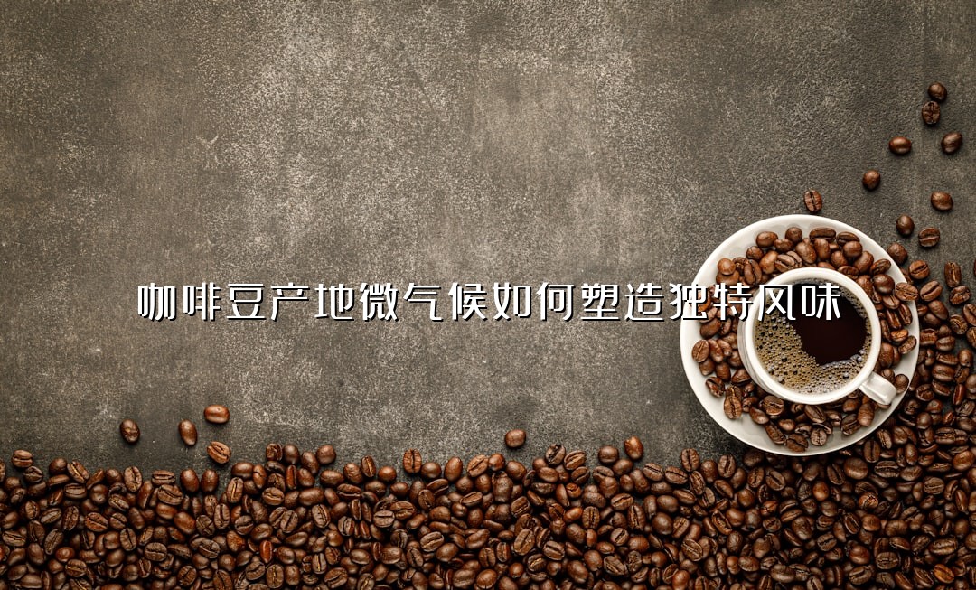 咖啡豆产地微气候如何塑造独特风味？