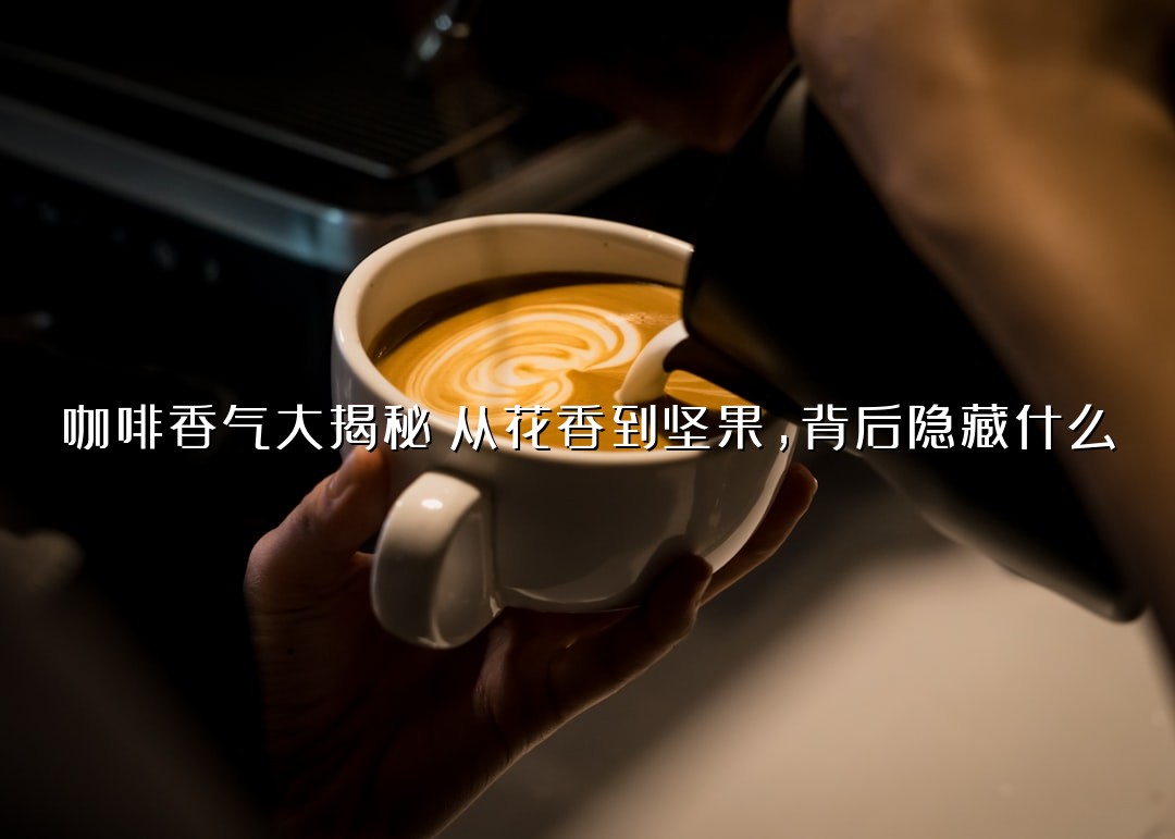 咖啡香气大揭秘：从花香到坚果，背后隐藏什么？