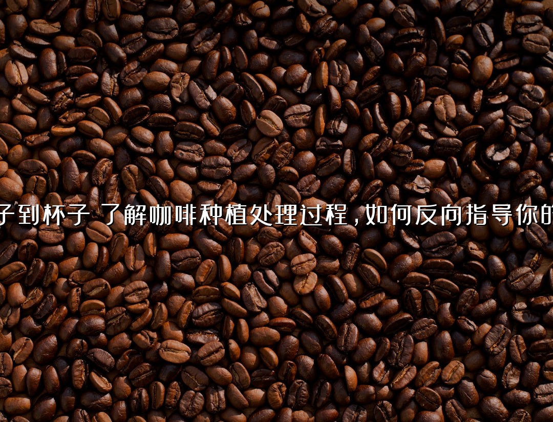 从种子到杯子：了解咖啡种植处理过程，如何反向指导你的冲煮？