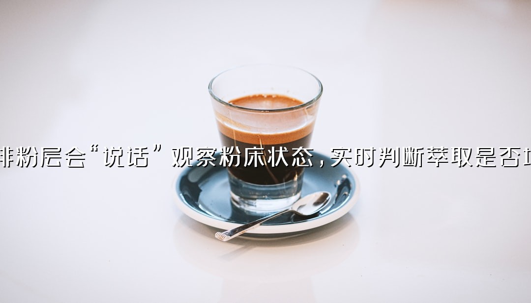 咖啡粉层会“说话”：观察粉床状态，实时判断萃取是否均匀