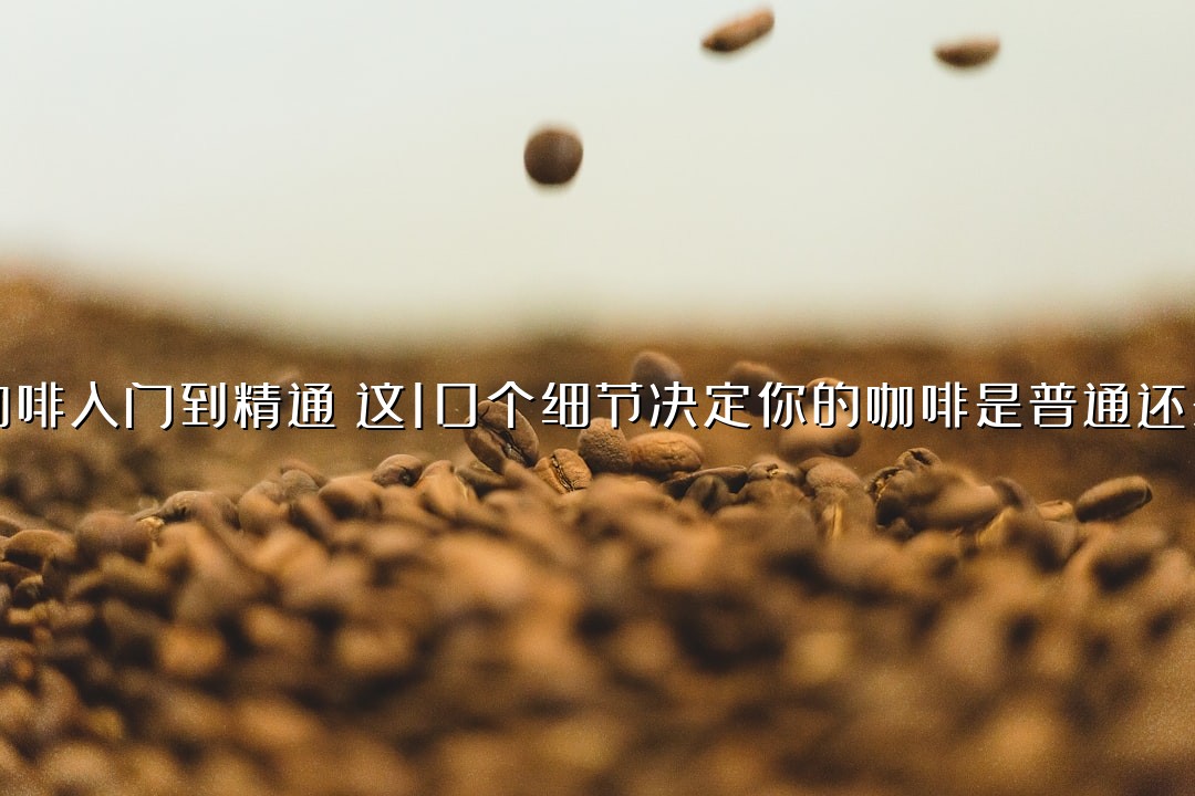 手冲咖啡入门到精通：这10个细节决定你的咖啡是普通还是非凡