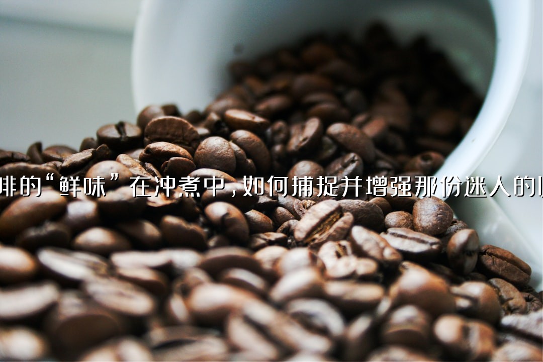 探索咖啡的“鲜味”：在冲煮中，如何捕捉并增强那份迷人的Umami？