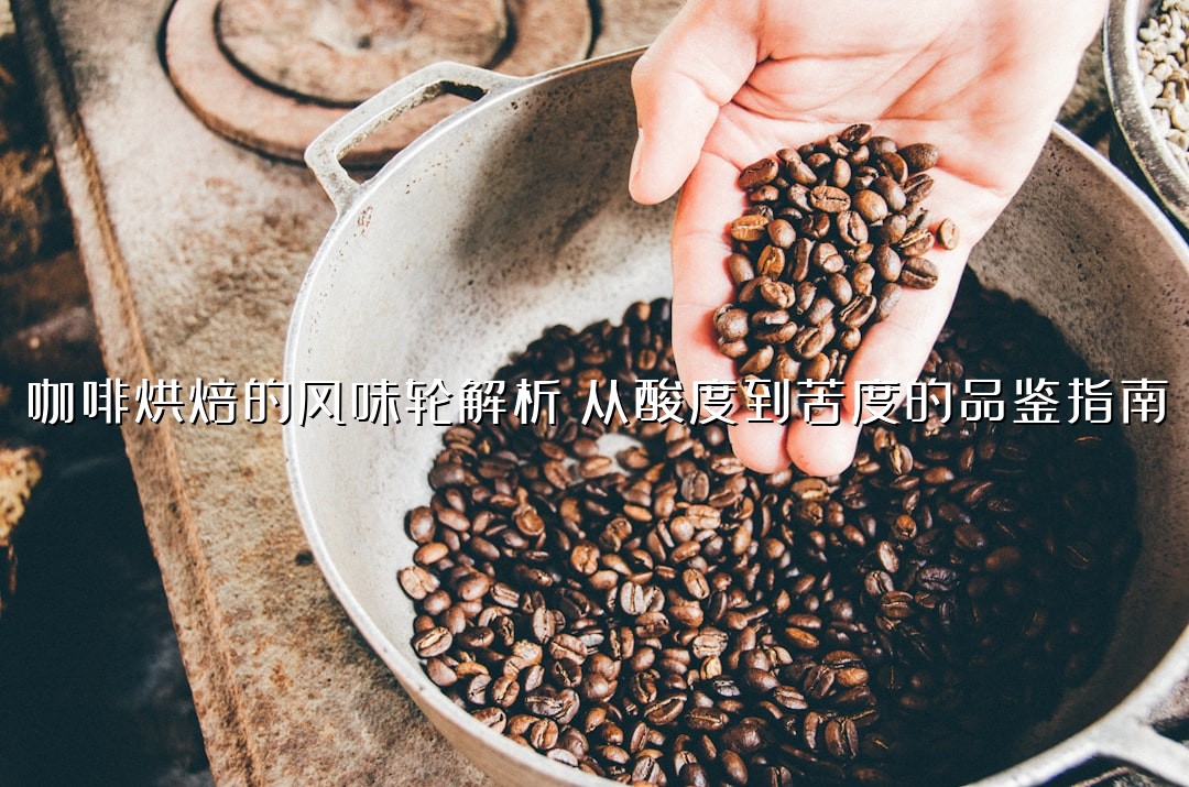 咖啡烘焙的风味轮解析：从酸度到苦度的品鉴指南