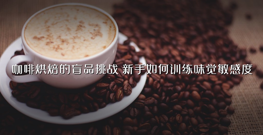咖啡烘焙的盲品挑战：新手如何训练味觉敏感度