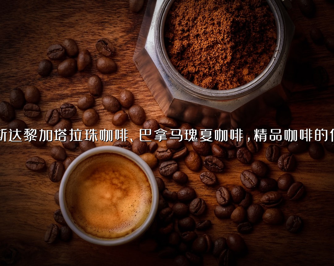 哥斯达黎加塔拉珠咖啡、巴拿马瑰夏咖啡，精品咖啡的代表