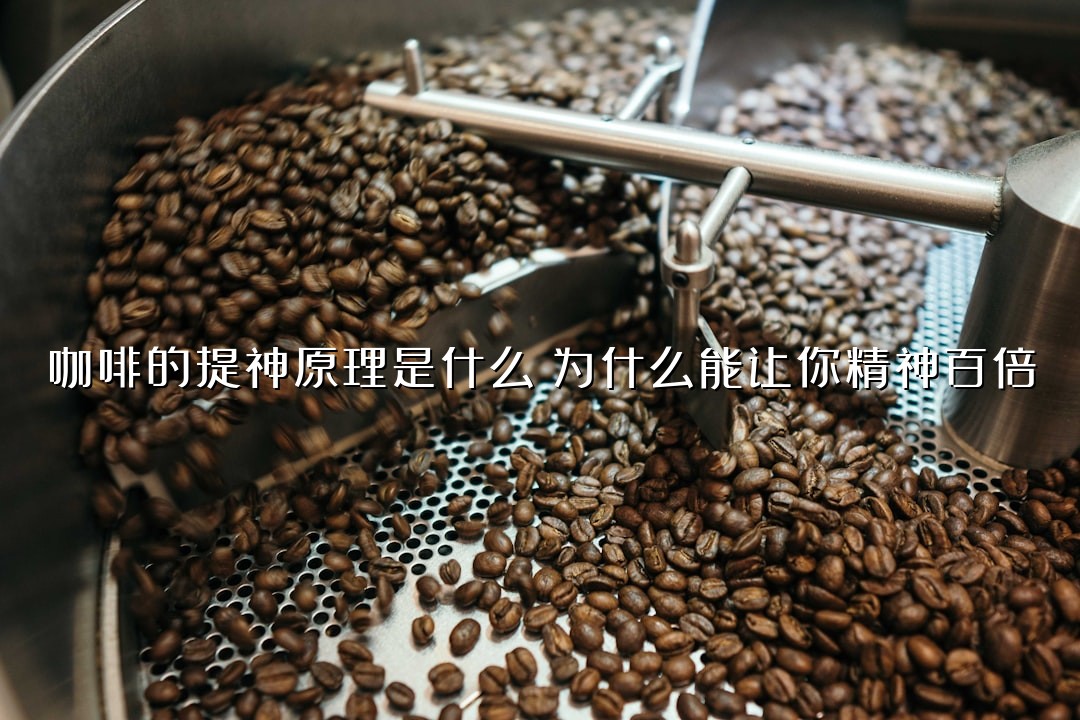 咖啡的提神原理是什么？为什么能让你精神百倍
