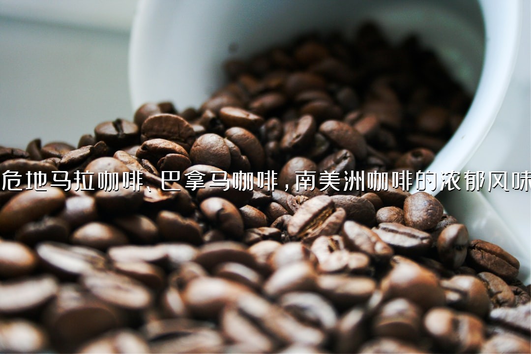 危地马拉咖啡、巴拿马咖啡，南美洲咖啡的浓郁风味