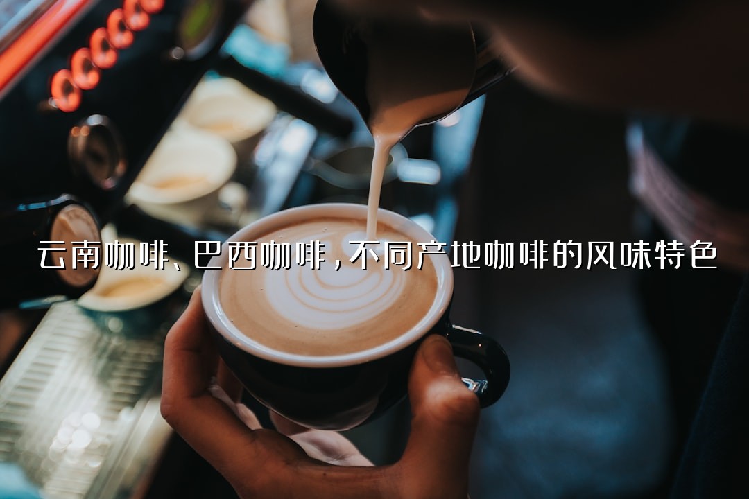 云南咖啡、巴西咖啡，不同产地咖啡的风味特色