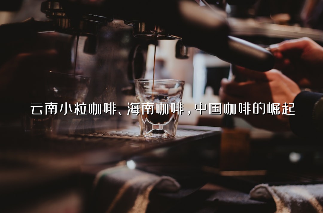 云南小粒咖啡、海南咖啡，中国咖啡的崛起