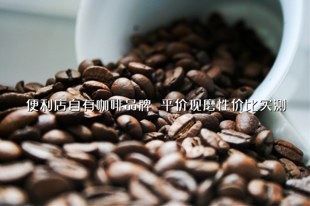 便利店自有咖啡品牌 平价现磨性价比实测