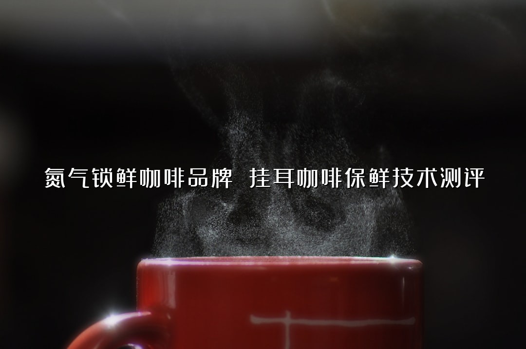 氮气锁鲜咖啡品牌 挂耳咖啡保鲜技术测评