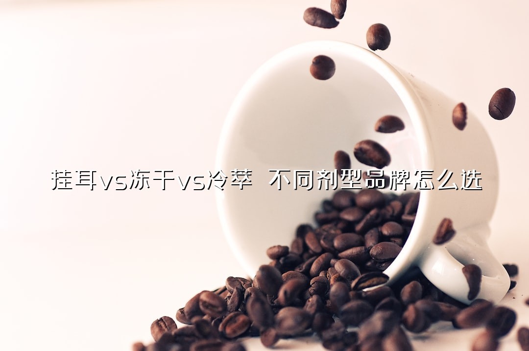挂耳vs冻干vs冷萃 不同剂型品牌怎么选