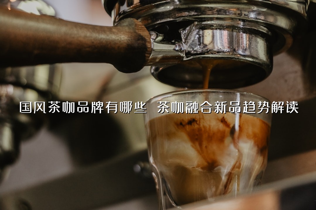国风茶咖品牌有哪些 茶咖融合新品趋势解读