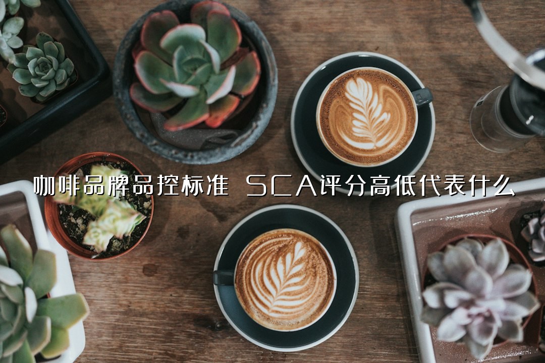 咖啡品牌品控标准 SCA评分高低代表什么